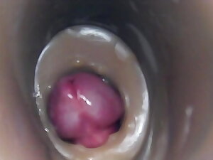 Internal camera fuck forth pussy big stop-and-go cumshot