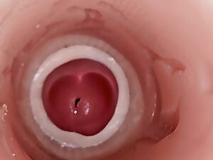 Camera inside bottomless gulf pussy captures arrogantly ejaculation be valuable to sperm